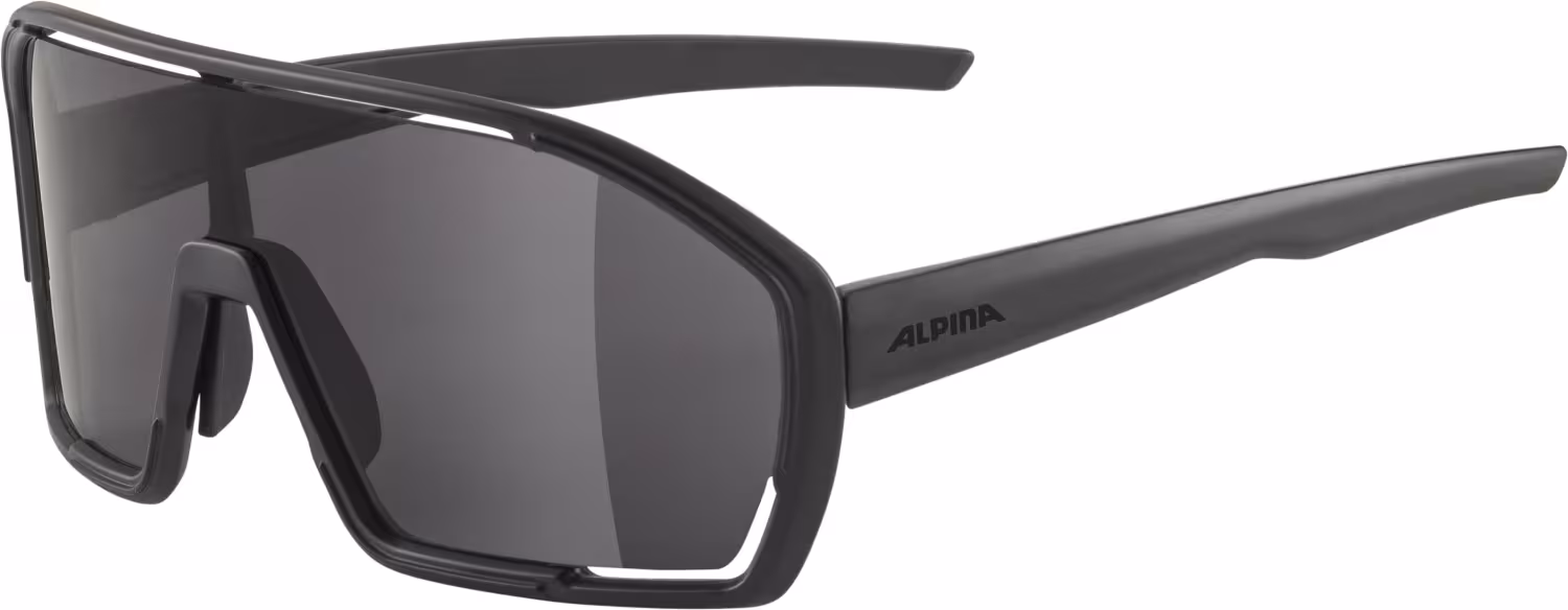 Alpina Bonfire Sportbrille 431 ...