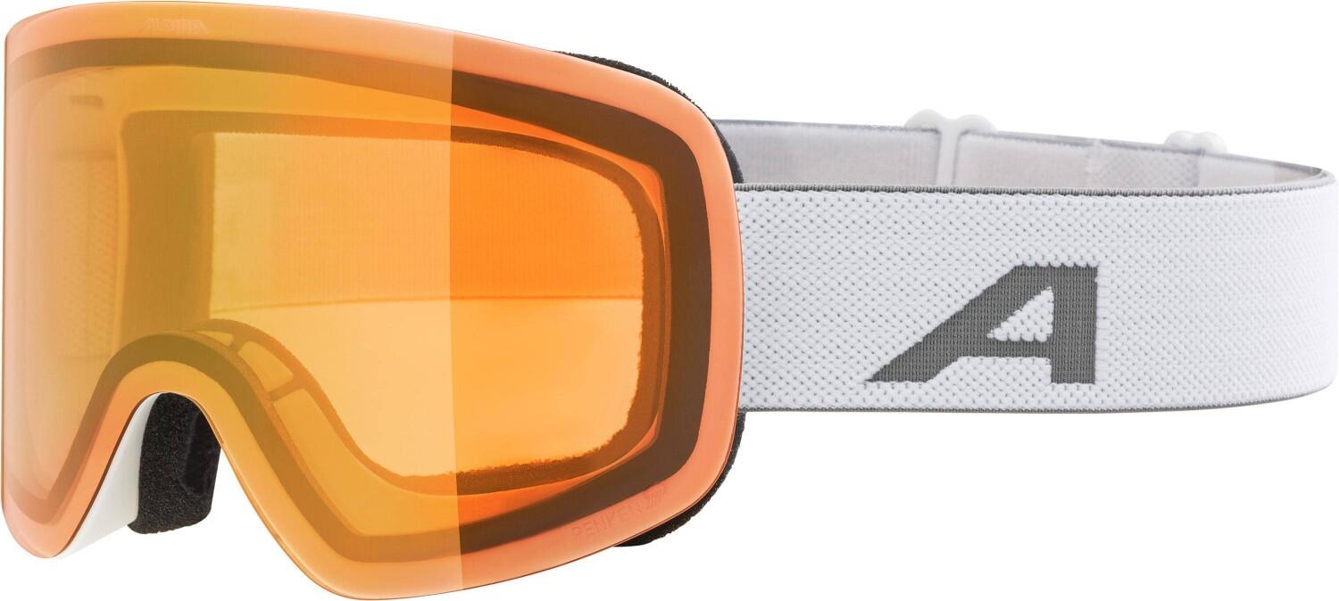 Alpina Penken Quattroflex Skibrille