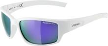Alpina Keekor Polarized Sportbrille
