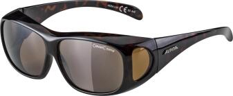 Alpina Overview Sonnenbrille schwarz verspiegelt Seitenblenden
