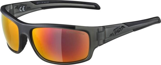 Alpina Testido Sportbrille